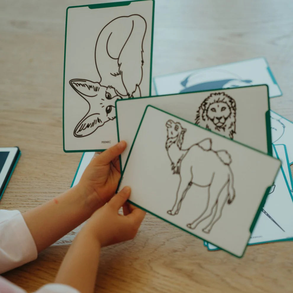 Refill KIDYDRAW-MINI Cartes supplémentaires thèmes "Animaux autour du monde et Océans & Pirates "