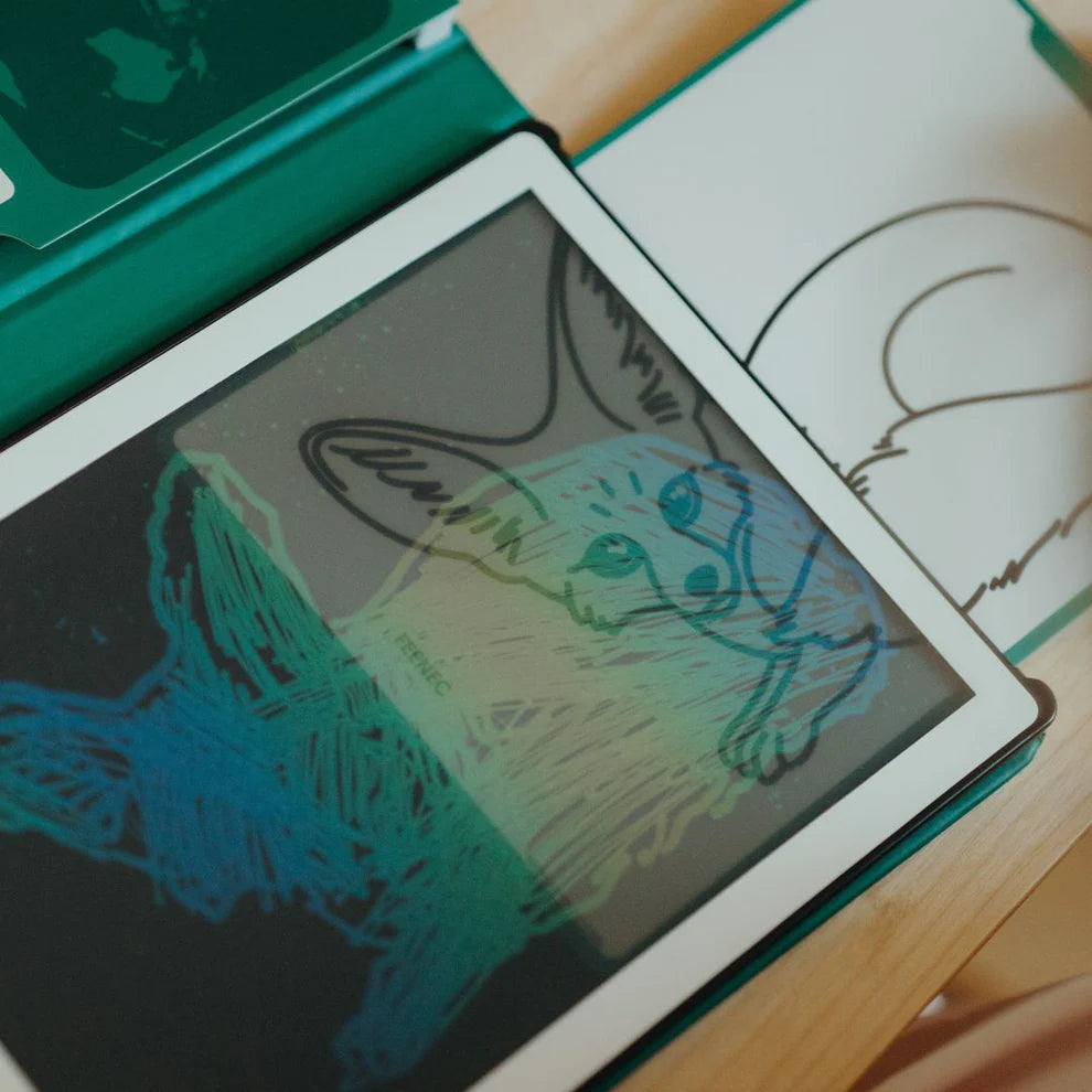 Refill KIDYDRAW-MINI Cartes supplémentaires thèmes "Animaux autour du monde et Océans & Pirates "