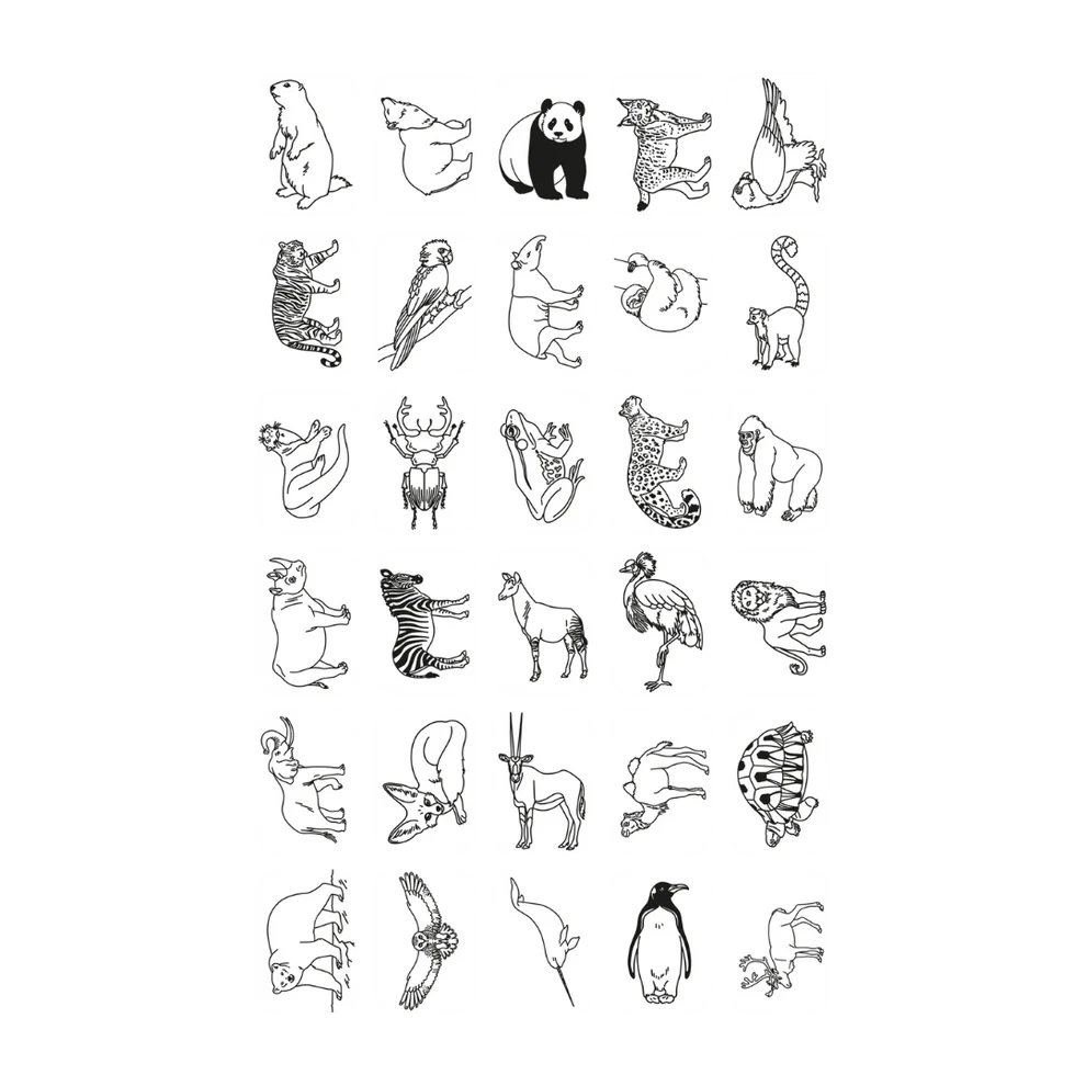 Refill KIDYDRAW-MINI Cartes supplémentaires thèmes "Animaux autour du monde et Océans & Pirates "