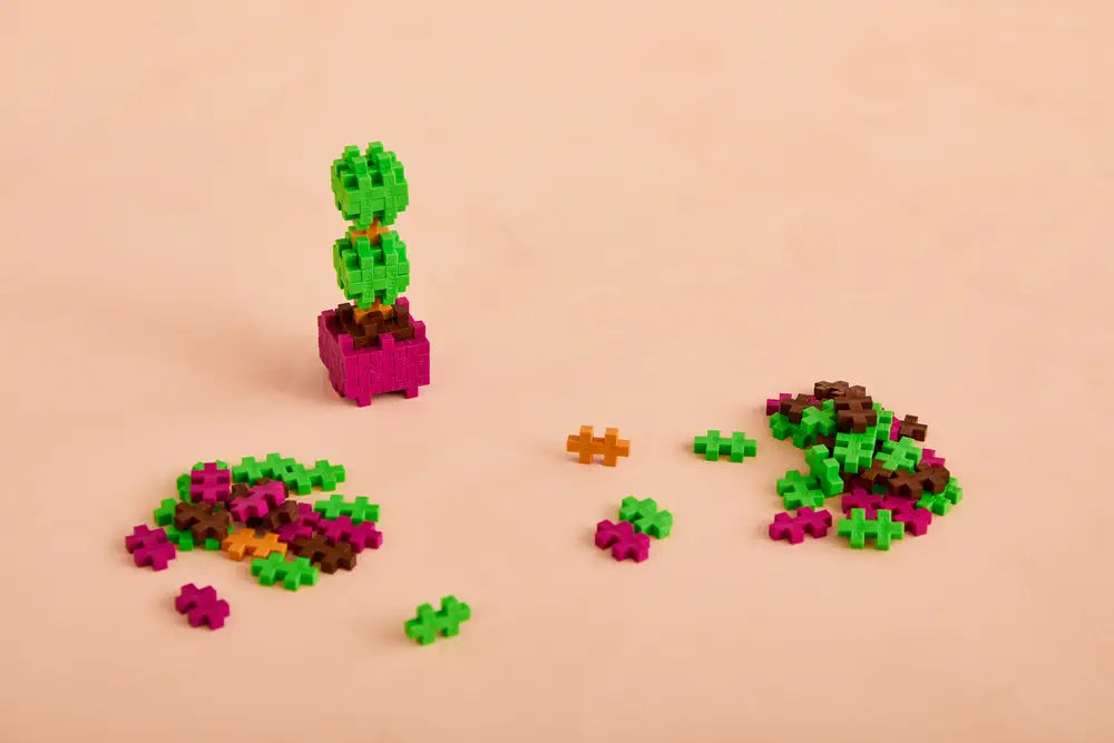 Pop Plantes – Buis