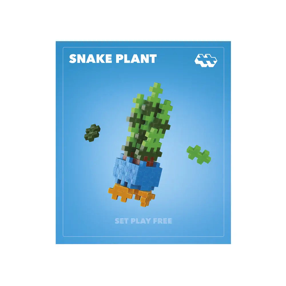 Pop Plantes – Succulente