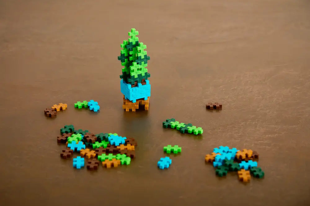 Pop Plantes – Succulente