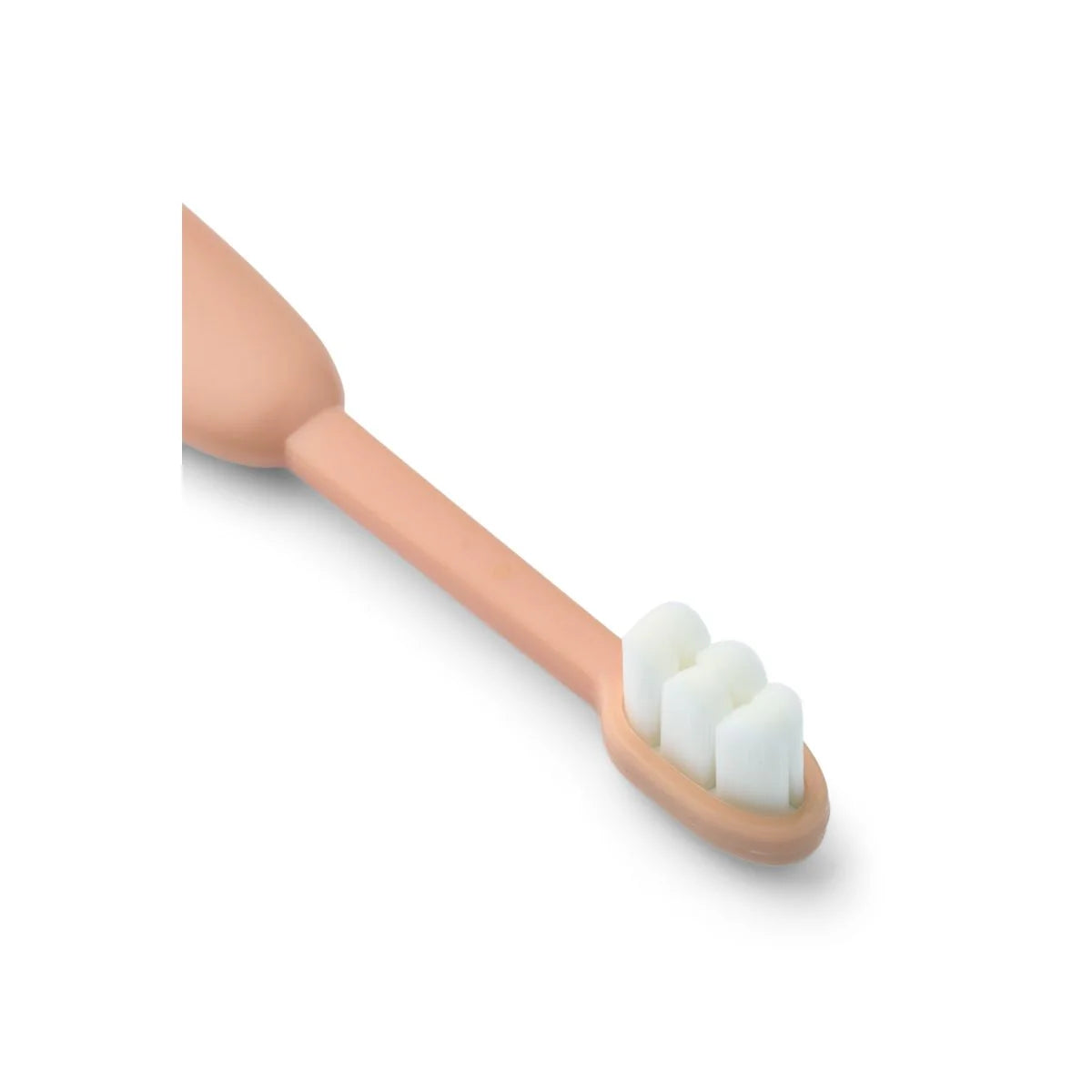 Brosse à dents - FABIO - Pale tuscany / Sandy