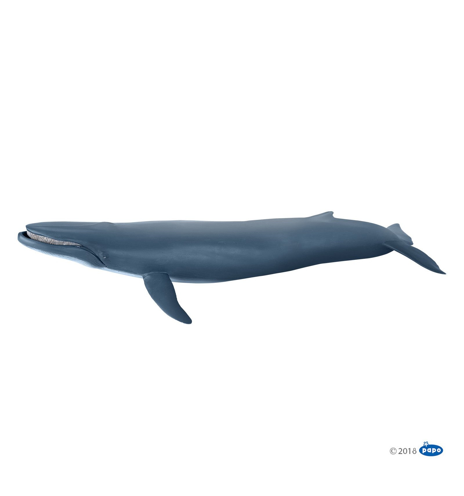 Baleine bleue