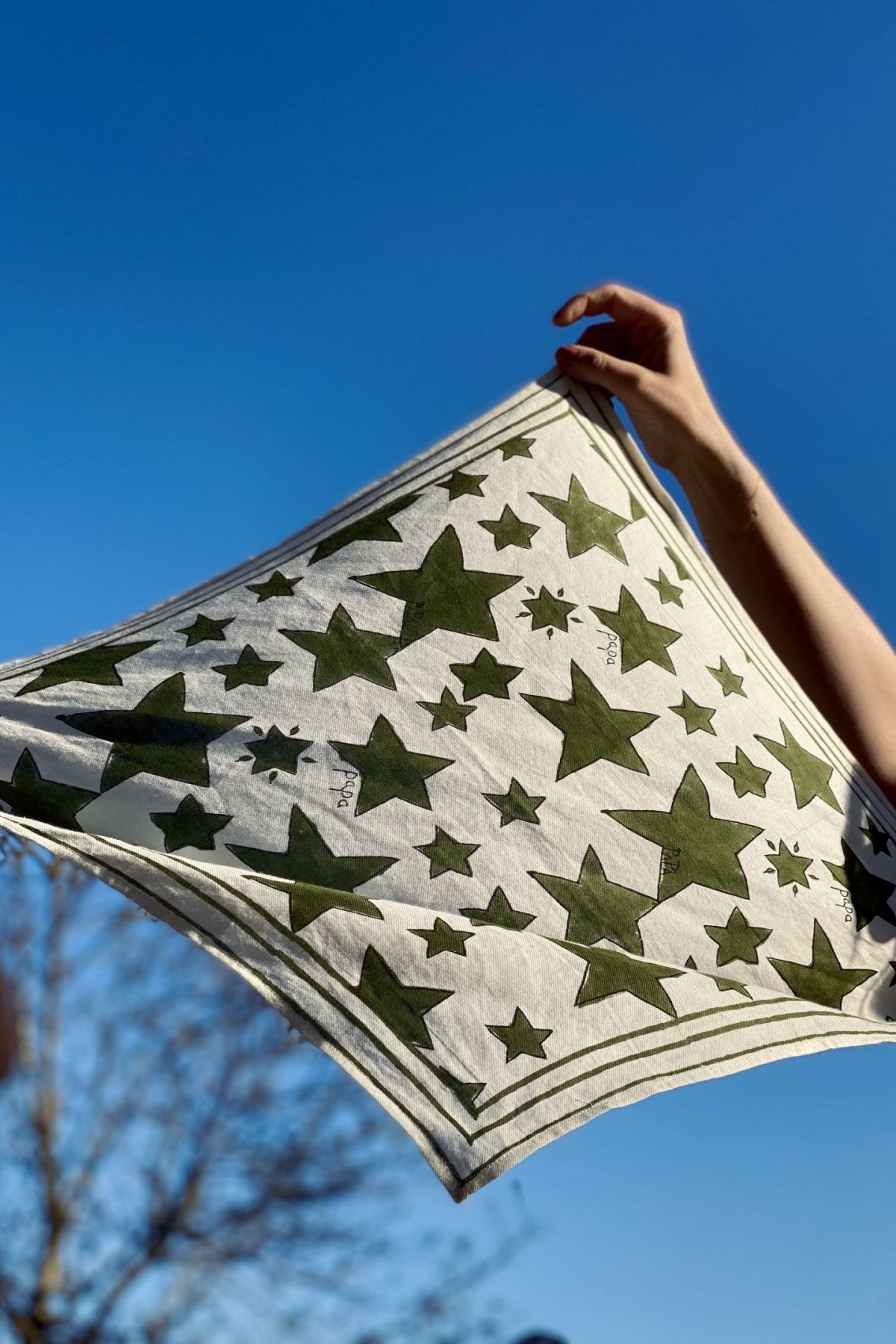 Big Foulard Latika "Happy" Cactus