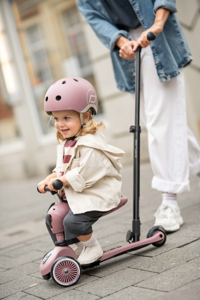 Trottinette 2 en 1 HIGHWAYKICK 1 PUSH&GO - Wildberry