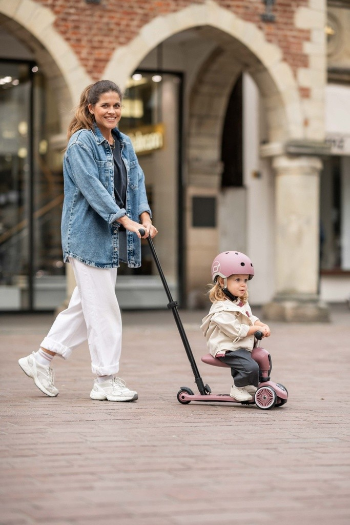 Trottinette 2 en 1 HIGHWAYKICK 1 PUSH&GO - Wildberry