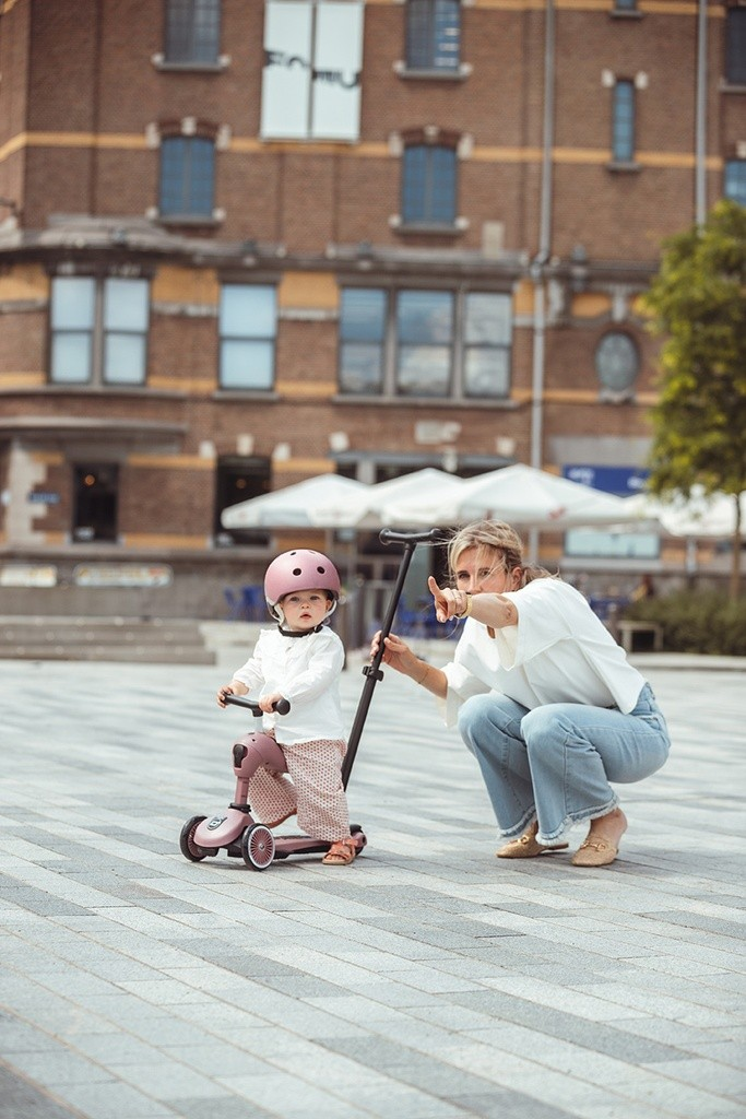 Trottinette 2 en 1 HIGHWAYKICK 1 PUSH&GO - Wildberry