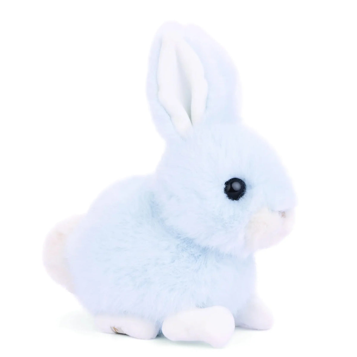 Baby Bunny Lapin Bleu Heavenly Blue