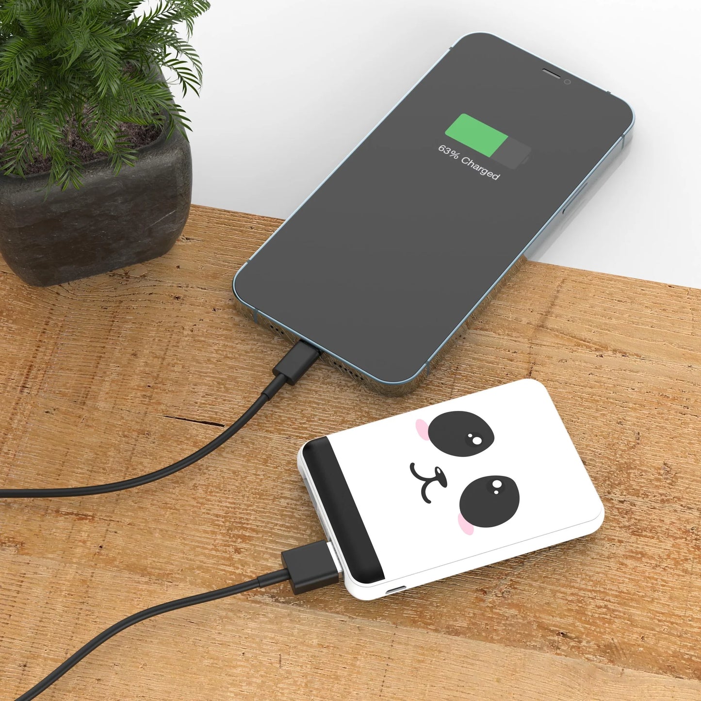 Batterie Power Panda 5 000 mAh