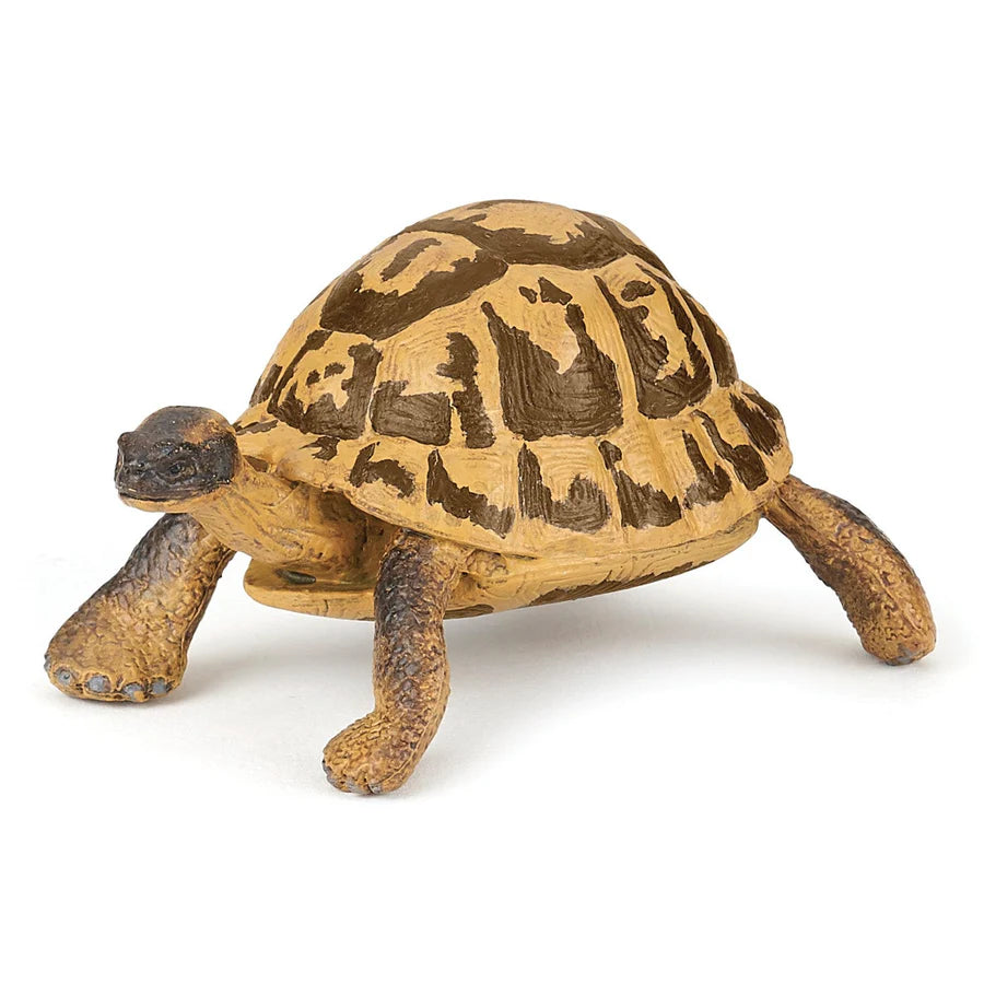 Figurine Tortue d'Hermann - Papo
