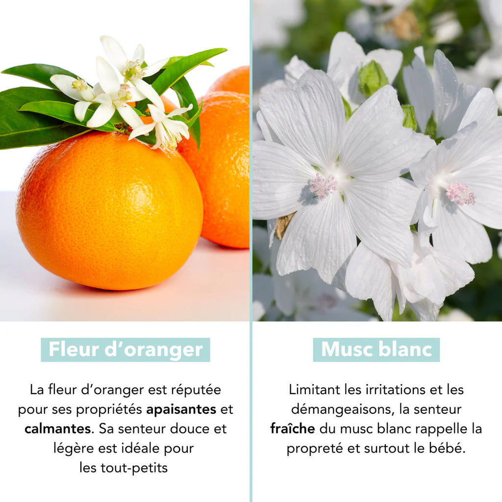 Eau de senteur – 50 ml