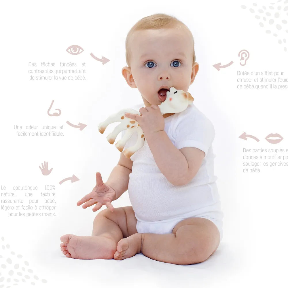 Sophie la girafe + son anneau de dentition So'pure