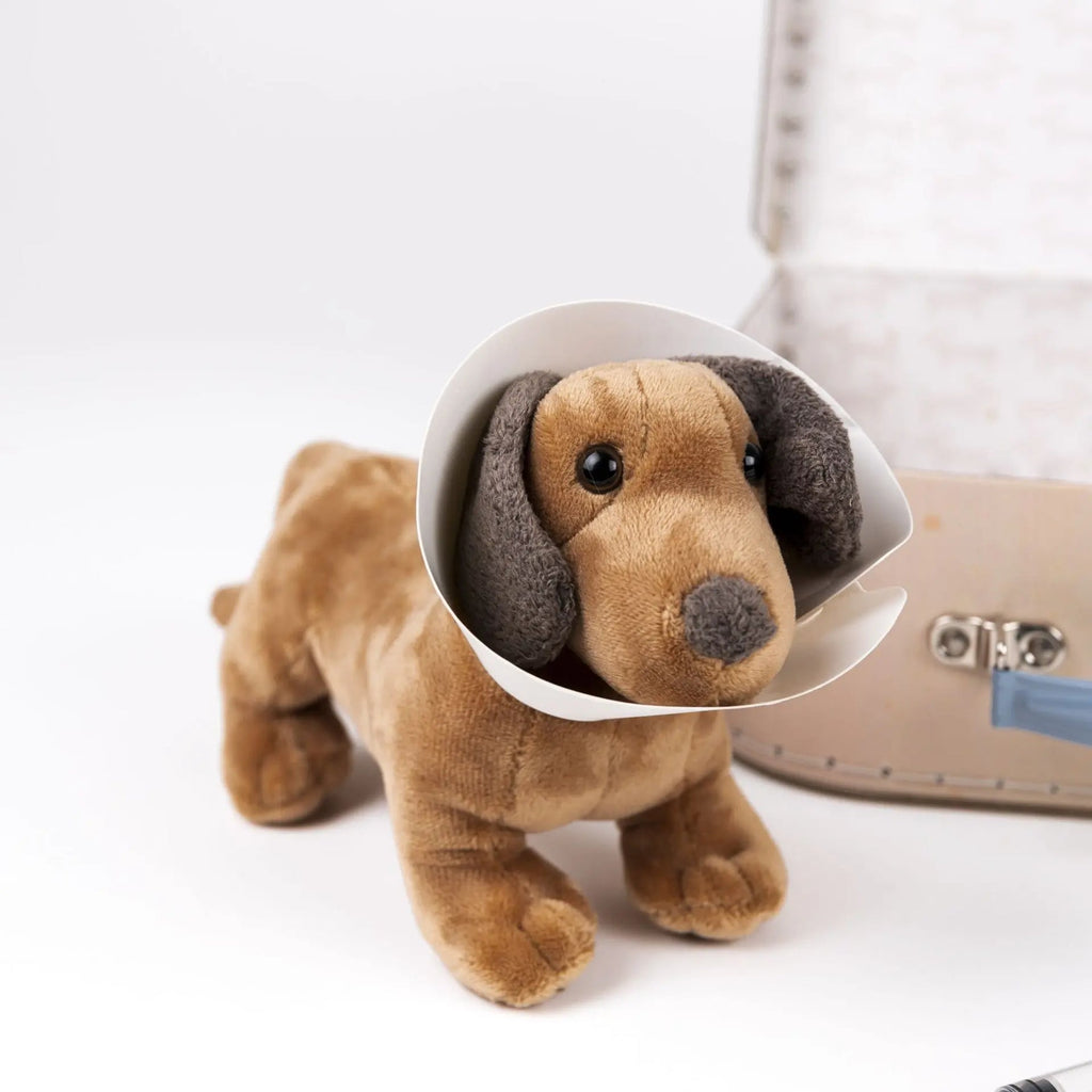 Mallette de vétérinaire Edward le chien
