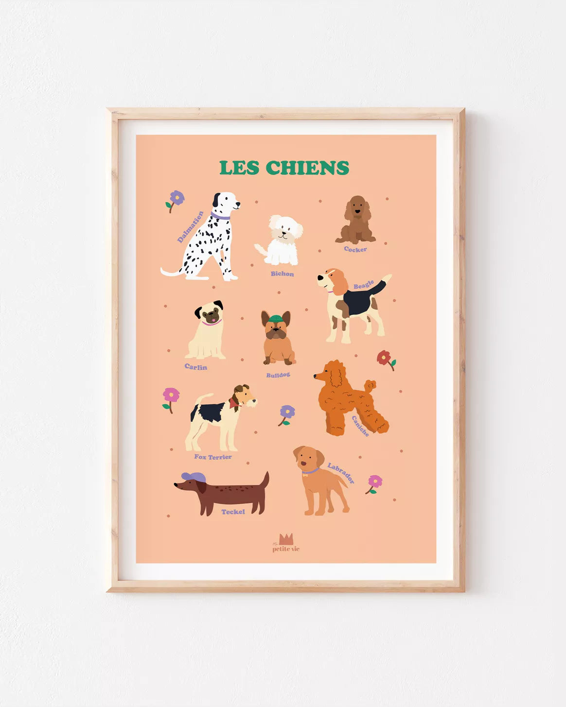 Affiche pédagogique - décoration enfant - Les chiens