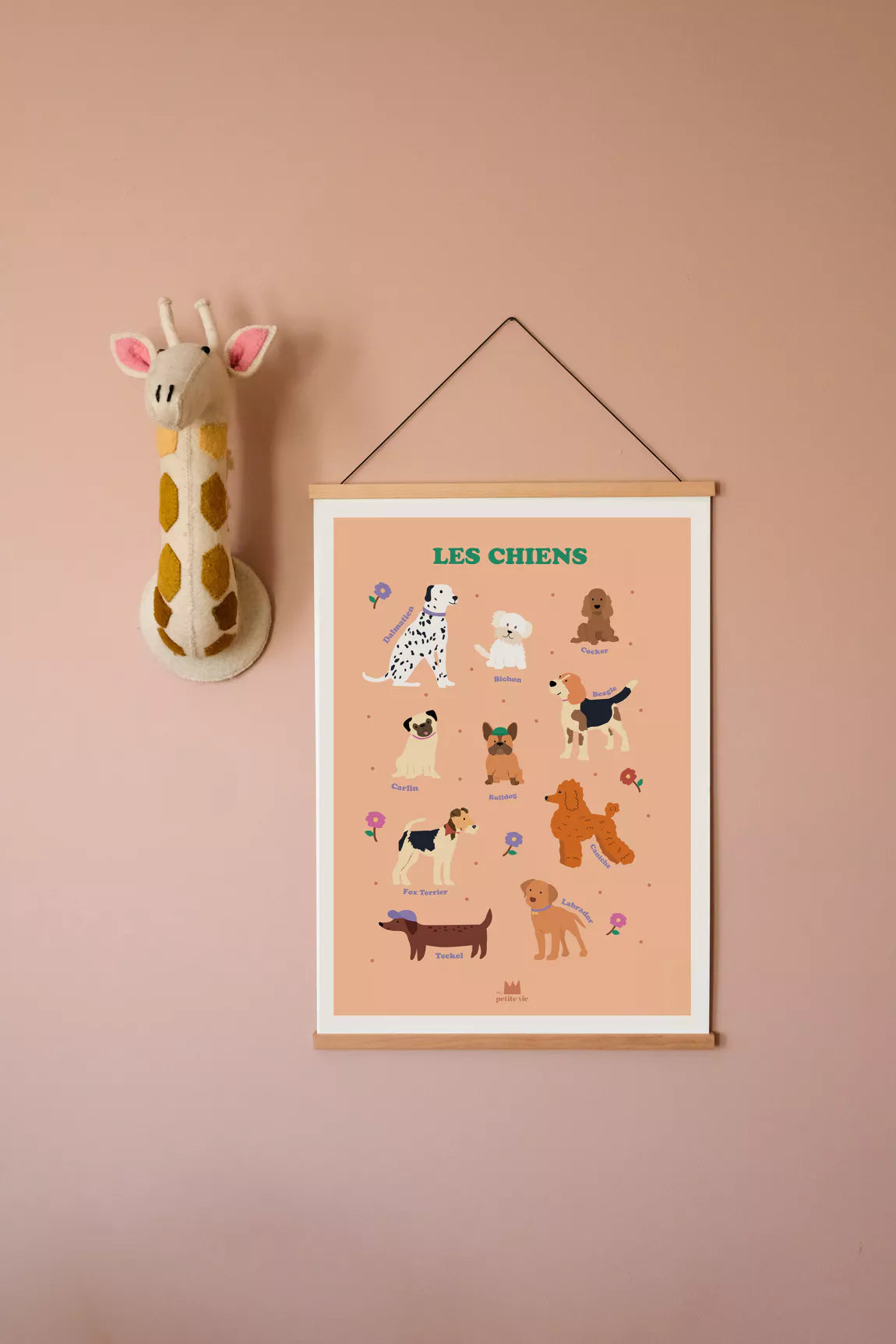 Affiche pédagogique - décoration enfant - Les chiens