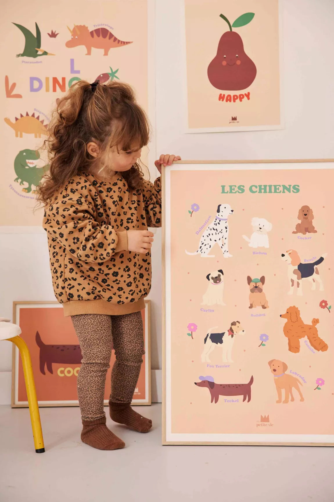 Affiche pédagogique - décoration enfant - Les chiens