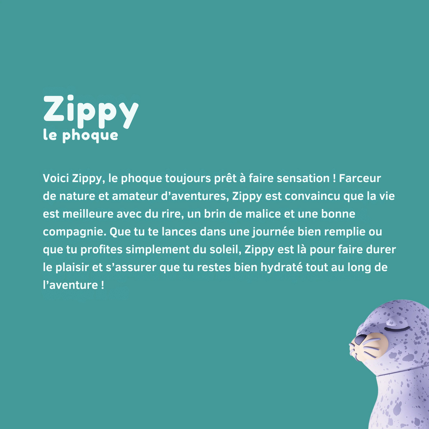 Gourde phoque