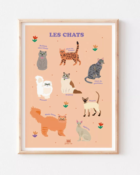Affiche pédagogique- décoration enfant - les chats