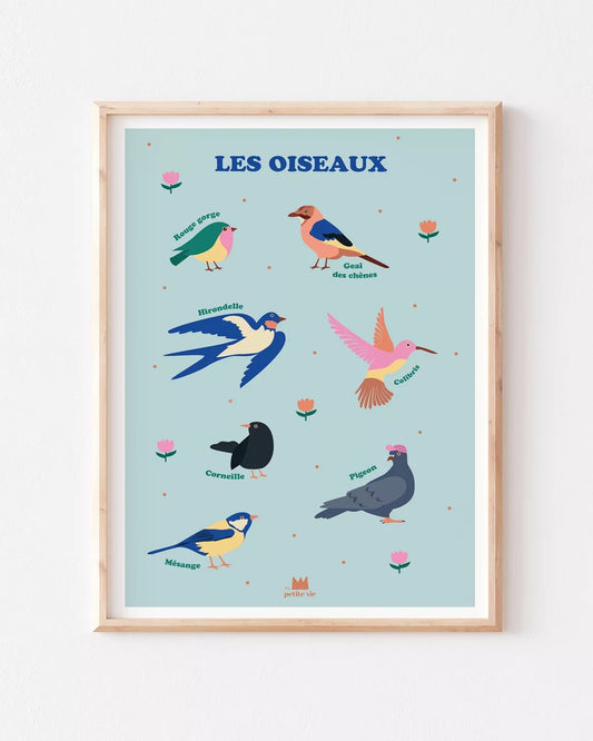 Affiche pédagogique - décoration enfant - Les oiseaux