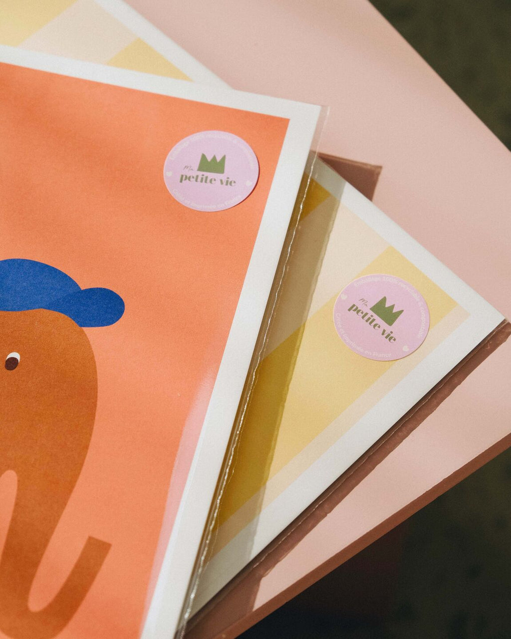 Affiche A3 - chat aerobic