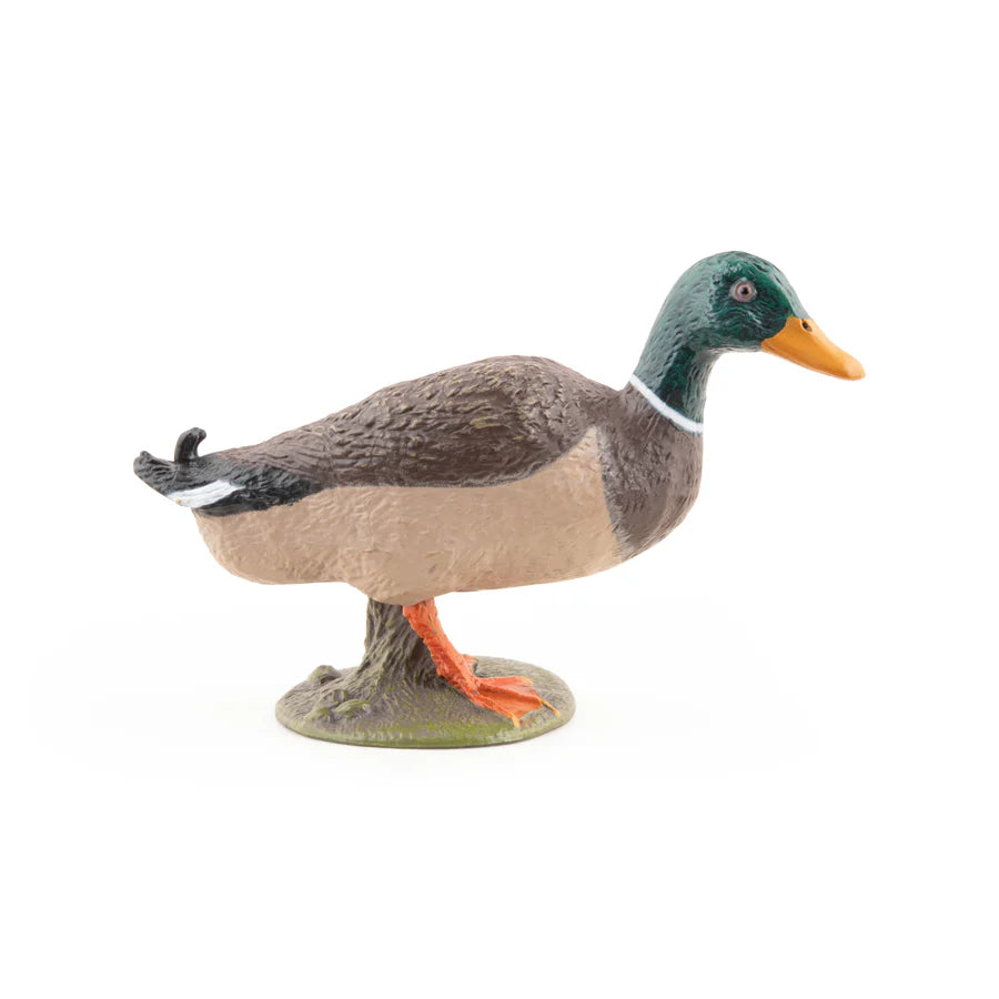 Figurine Canard colvert - Papo