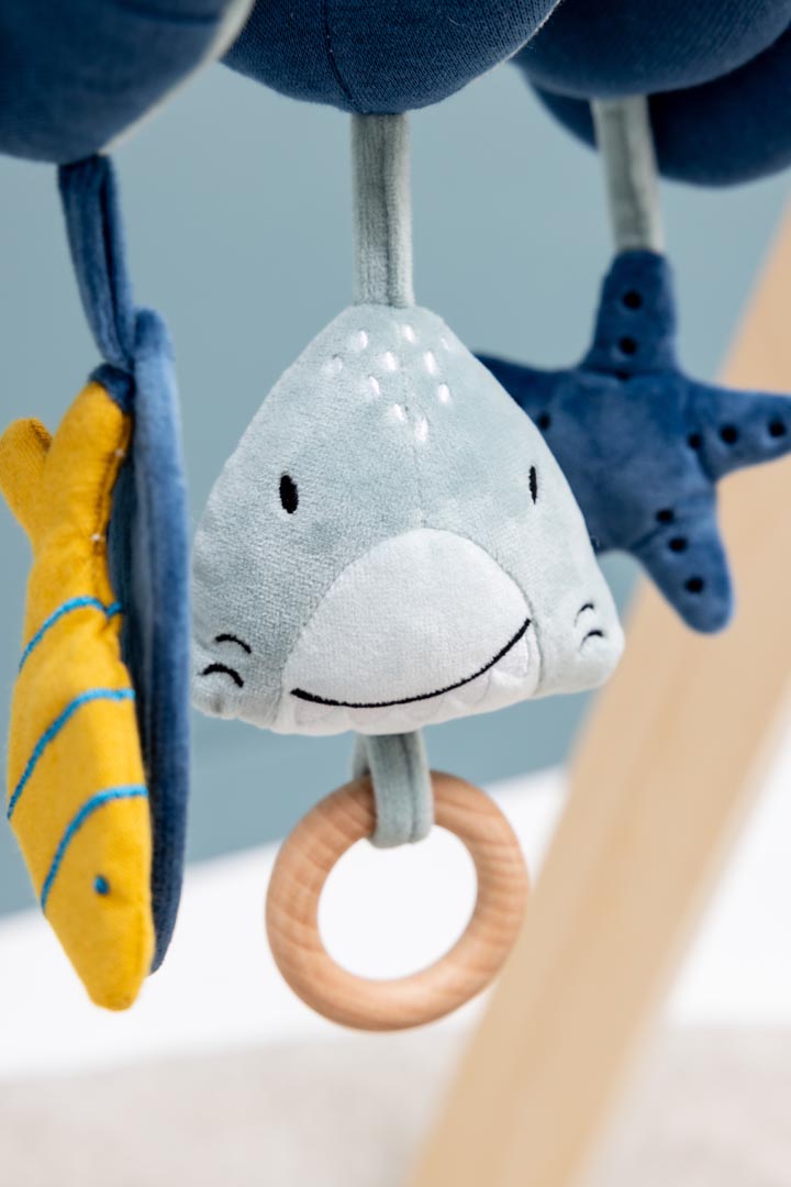 Spirale d’activités - Mr. Requin