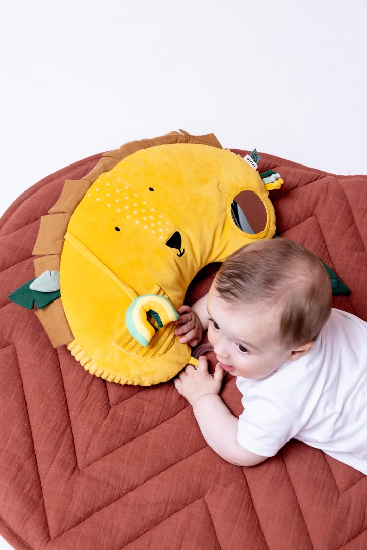 Coussin d'activités - Mr. Lion
