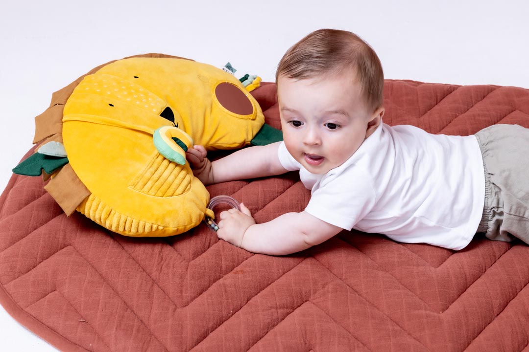 Coussin d'activités - Mr. Lion