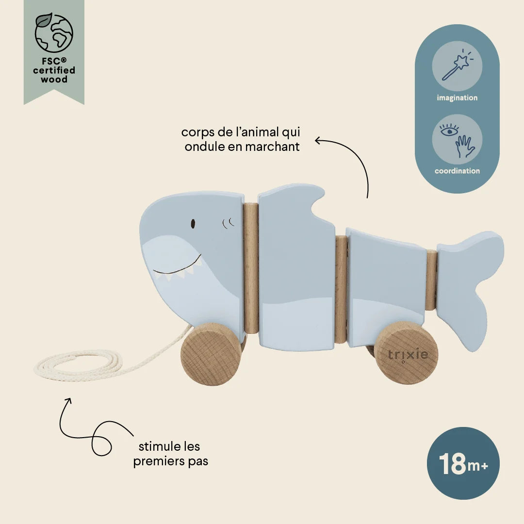 Jouet à tirer ondulant en bois - Mr. Shark