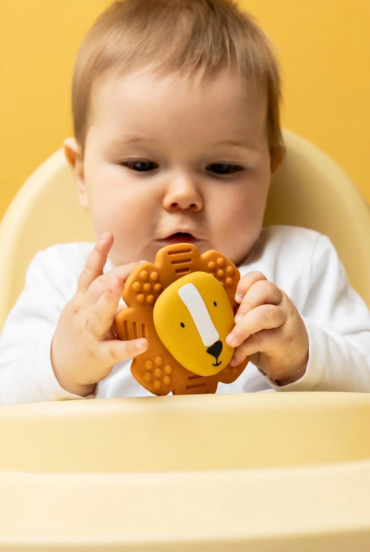 Jouet spinner à ventouse en silicone - Mr. Lion