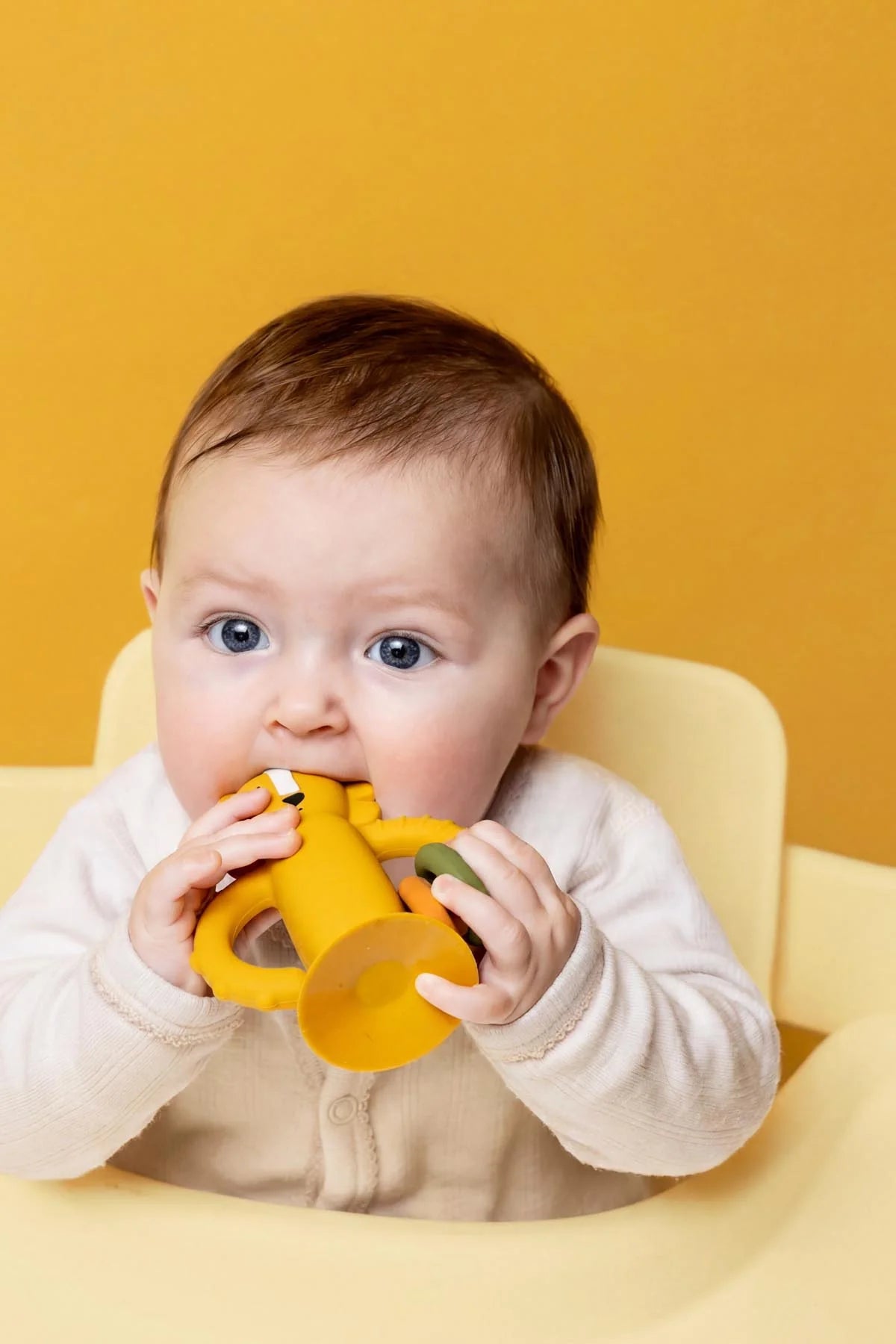 Jouet sensoriel en silicone avec ventouse - Mr. Lion