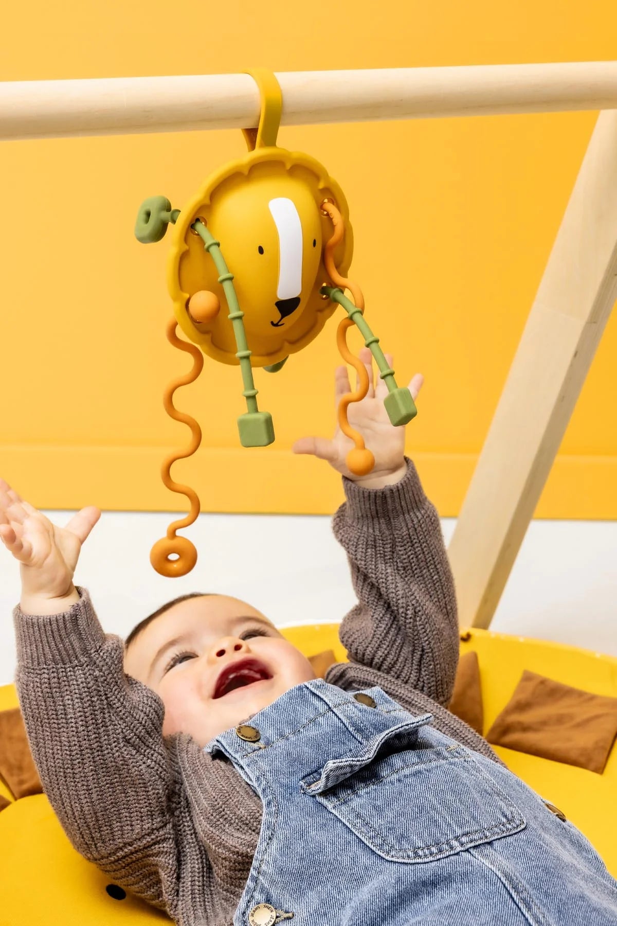 Jouet sensoriel à tirer en silicone - Mr. Lion