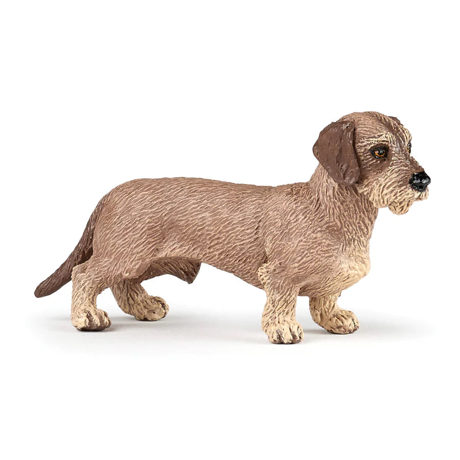 Figurine Teckel - Papo