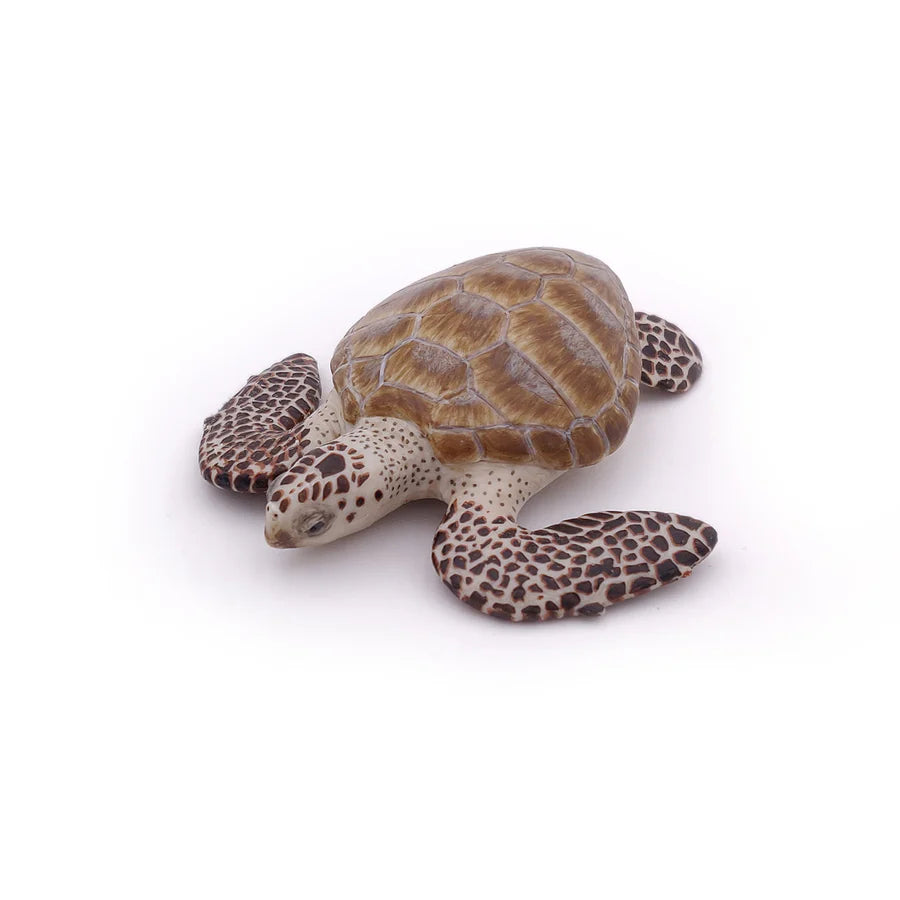 Figurine Tortue caouanne - Papo