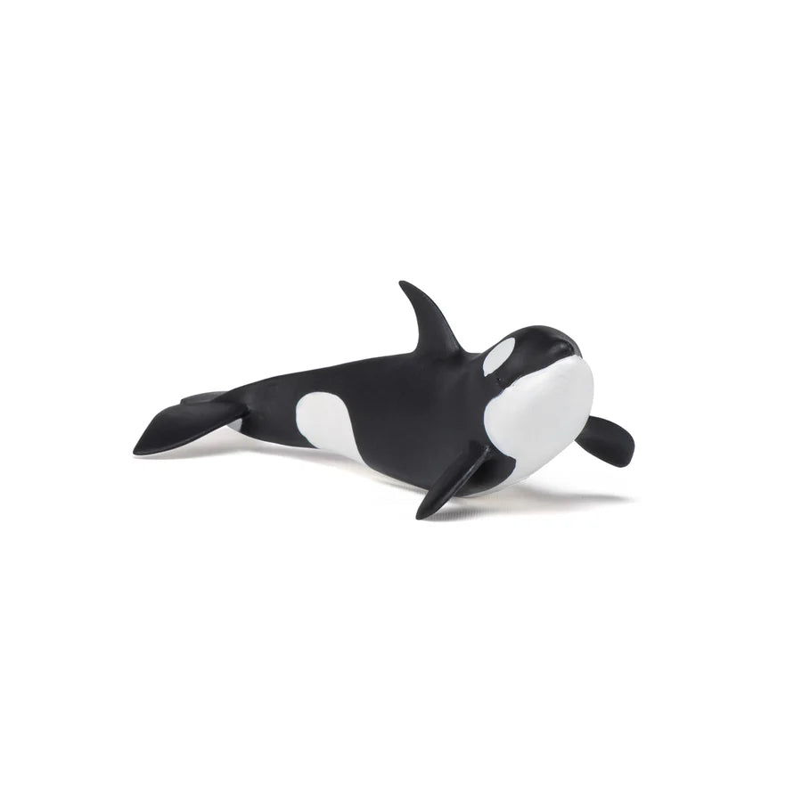 Figurine Bébé orque - Papo