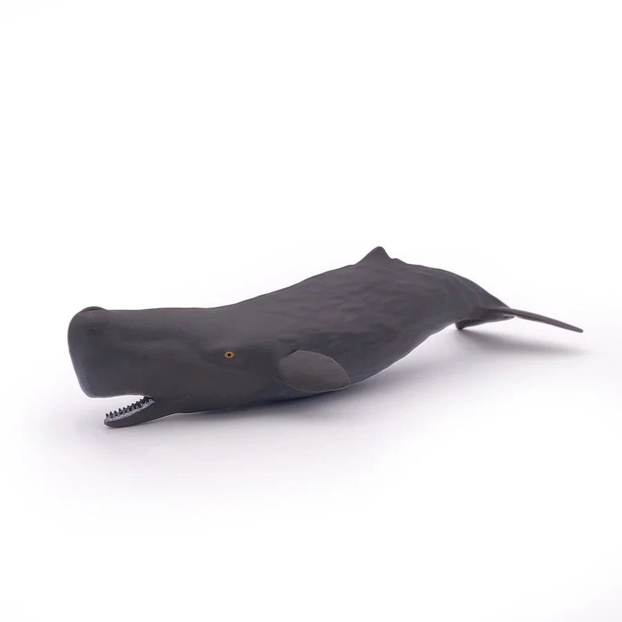 Figurine Bébé cachalot - Papo