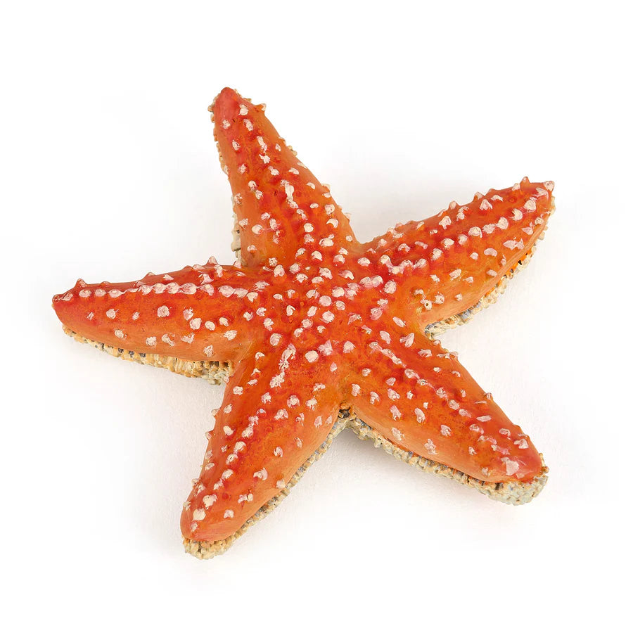 Figurine Etoile de mer - Papo