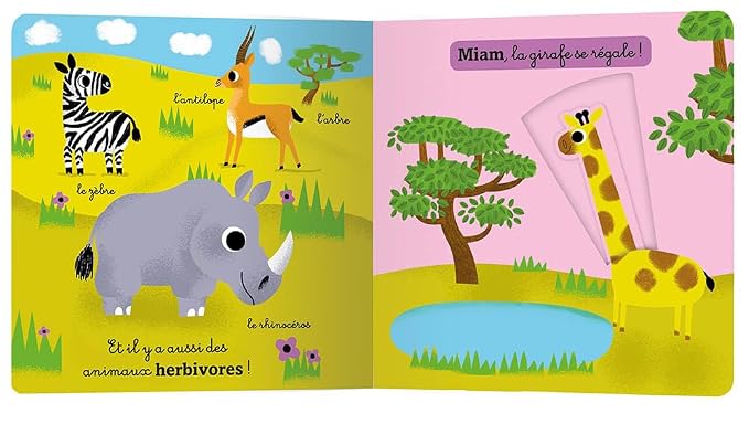 Mon Anim'agier - La jungle et la savane