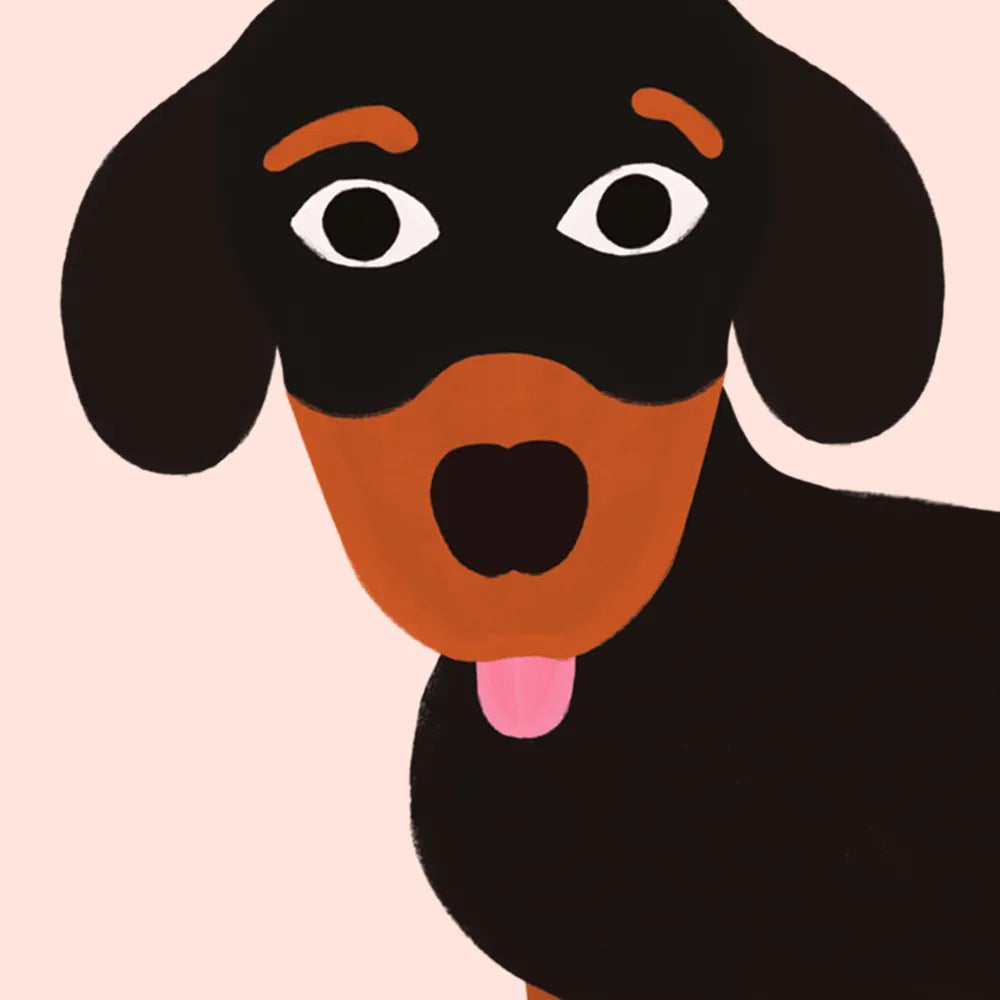 Éventail chien teckel