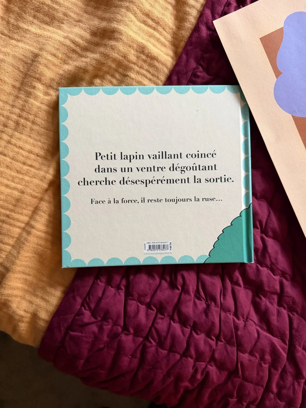 Livre enfant HE HO CROCO
