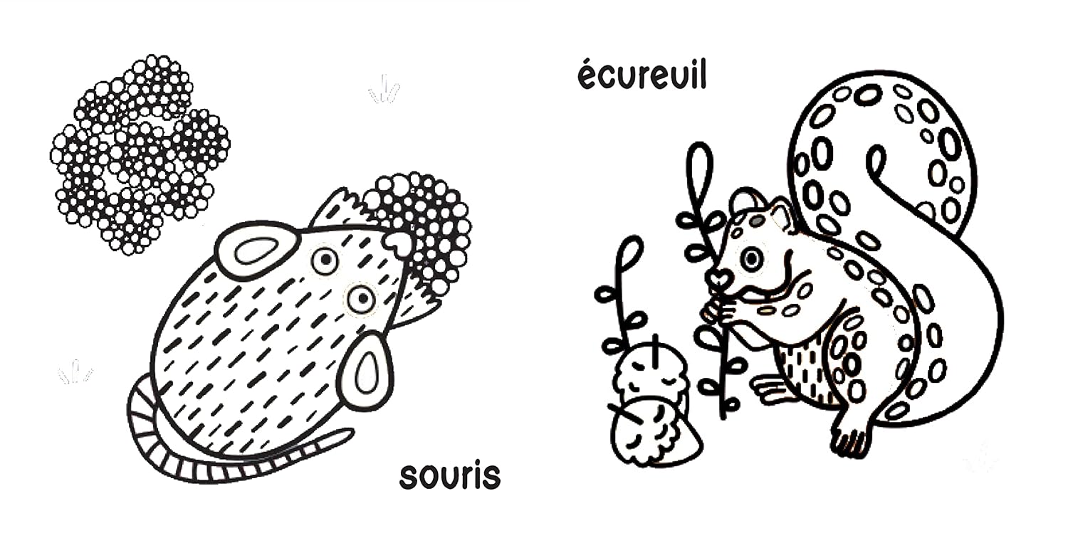 Les animaux de la forêt dans mon bain