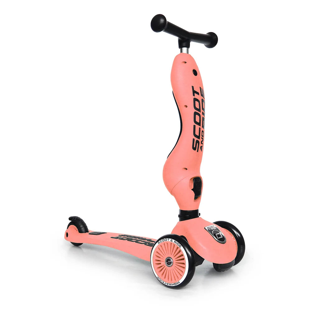 Porteur évolutif en trottinette Highwaykick 1 Pêche