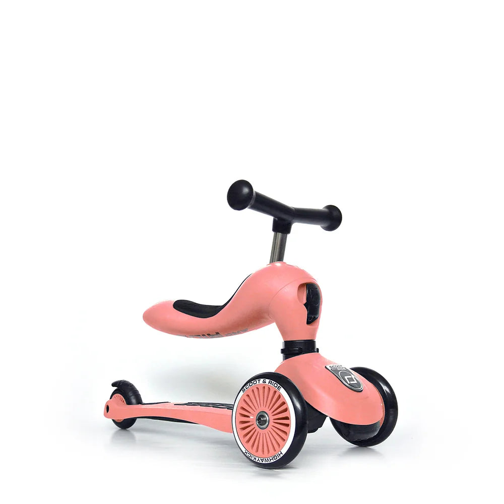Porteur évolutif en trottinette Highwaykick 1 Pêche