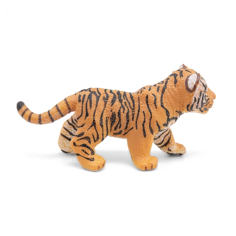 Bébé tigre