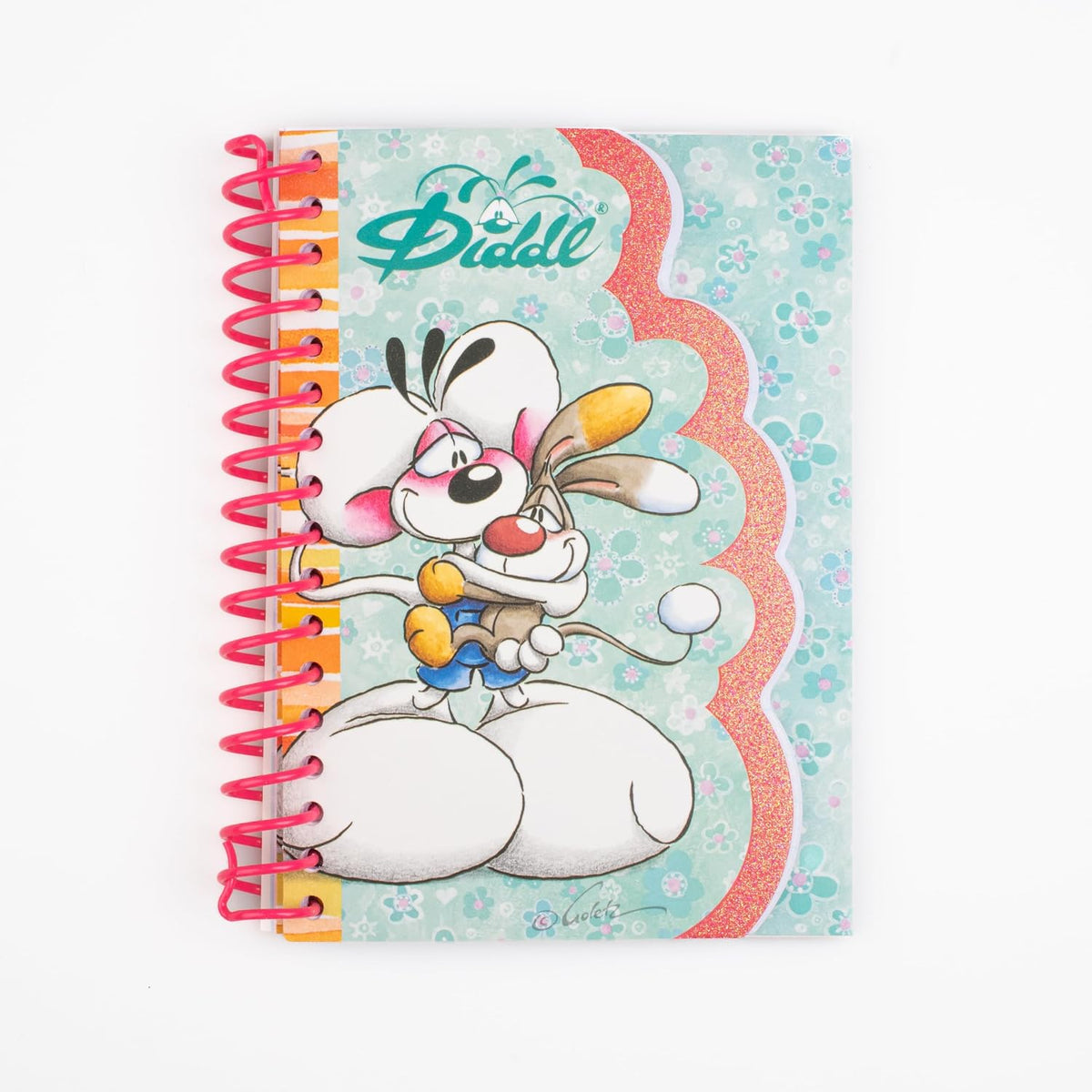 Carnet forme A6 Diddl V2