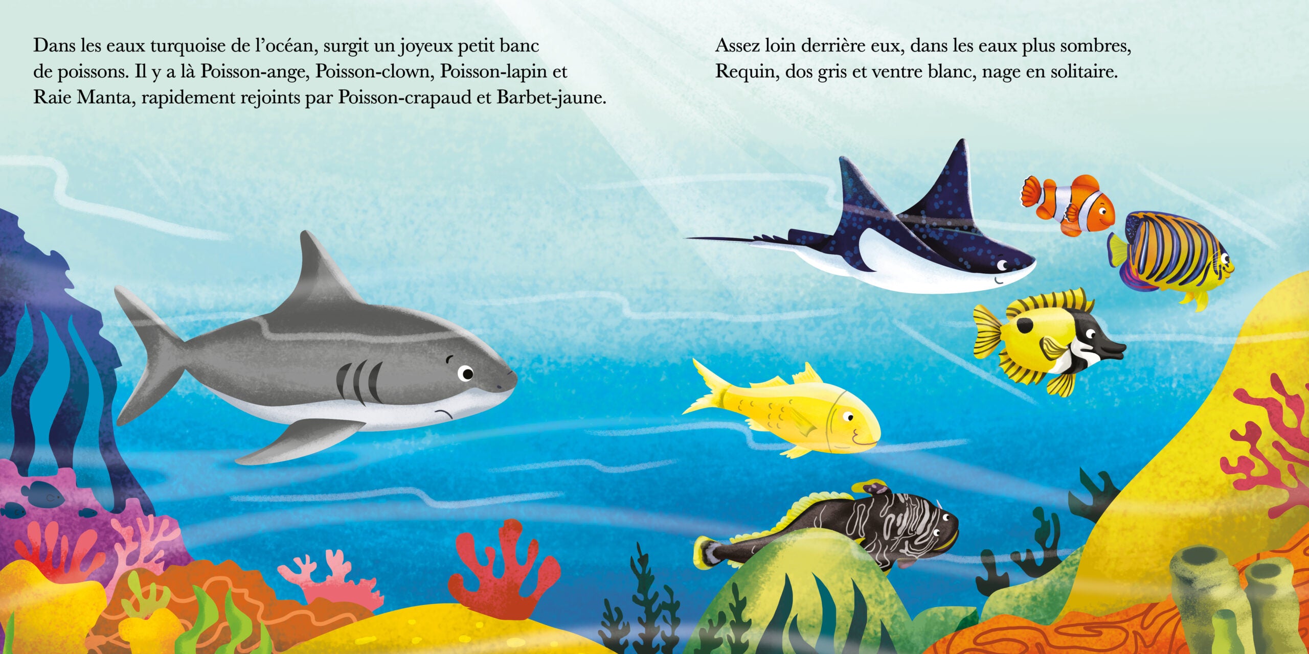 Requin n'est pas partageur