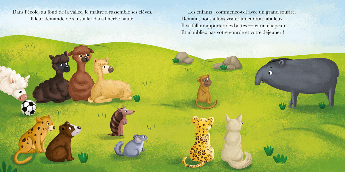 OH LA LA ! LES EMOTIONS - LAMA