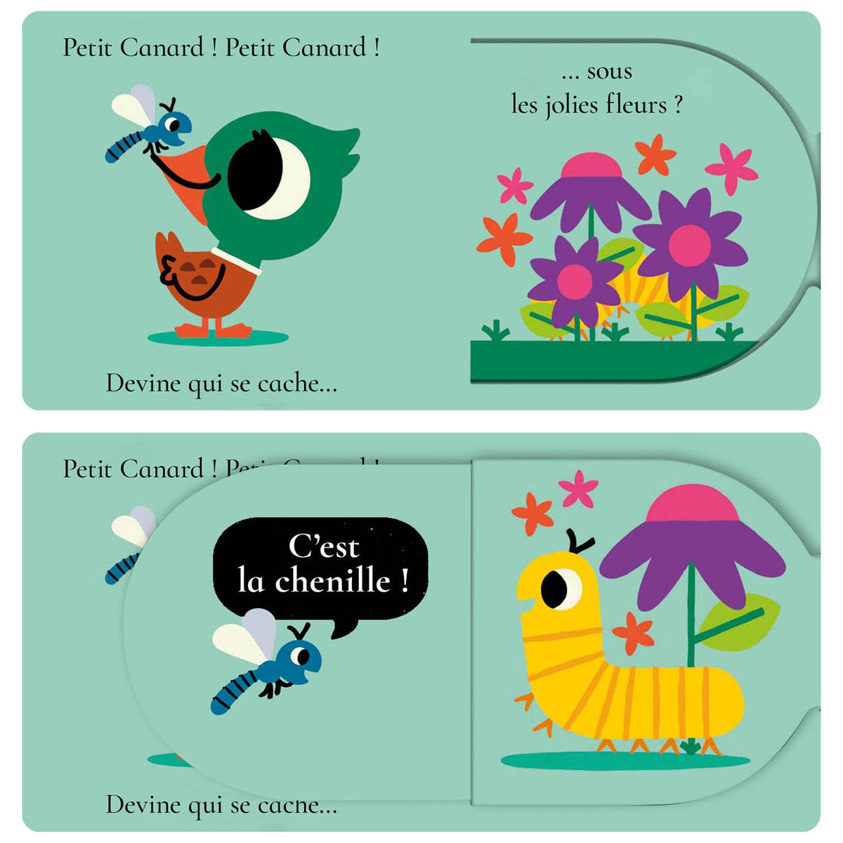 CANARD, DEVINE QUI SE CACHE ?