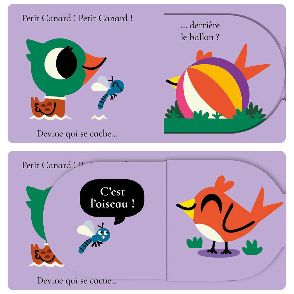 CANARD, DEVINE QUI SE CACHE ?